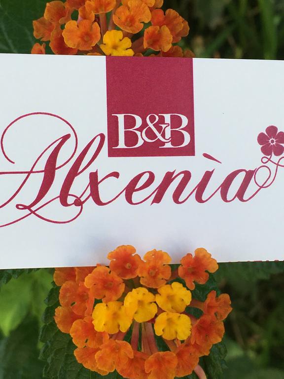 B&B Alxenìa room 1